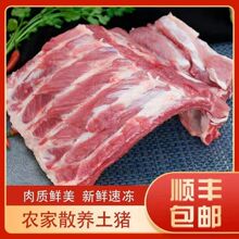 ���r�i�Ź��r��ɢ�B�iǰ���������i���i�������l����