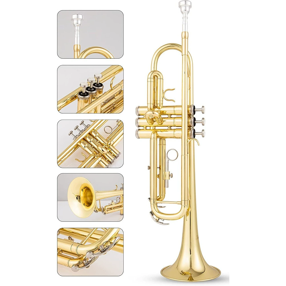 Small silver musical instruments for elementary school students, for beginners