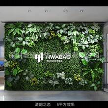 �����֮�١�����ֲ�1ƽ���|�����w����Gֲ���bGɫ�쾰