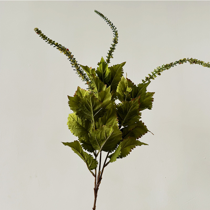 긴 가지 3개 들깨잎-녹색