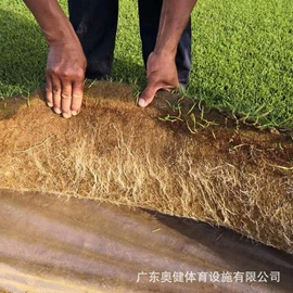 跑道草坪;草坪