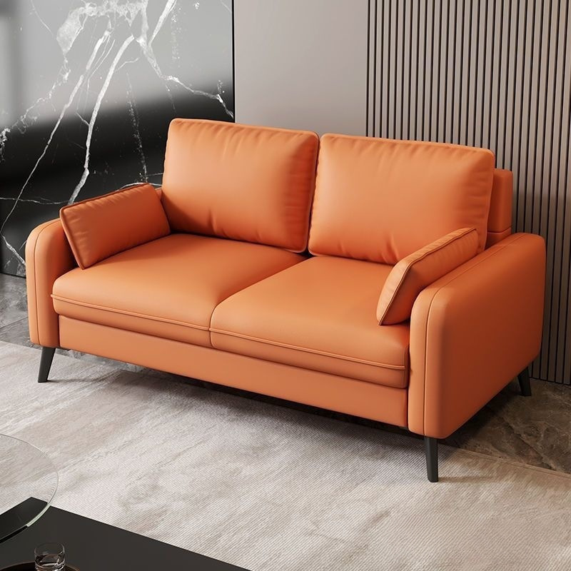 Light Luxury Living Room Small Apartment Bedroom Apartment Rental Clothing Store Reception Rest Area Double or Triple Fabric Small Sofa