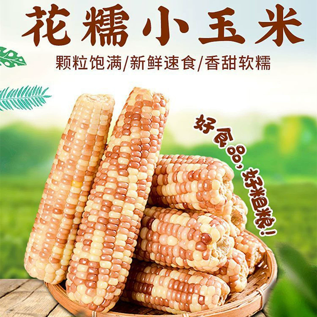 [Xishuangbanna Huanuo Small Corn] Удобный заменитель быстрого приготовления для грубого завтрака 5 кг Заменитель свежих фруктов