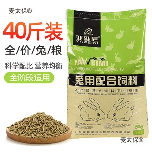 ����ϳ�������С�Ì���������ü���ʳ�����b���]��̫��