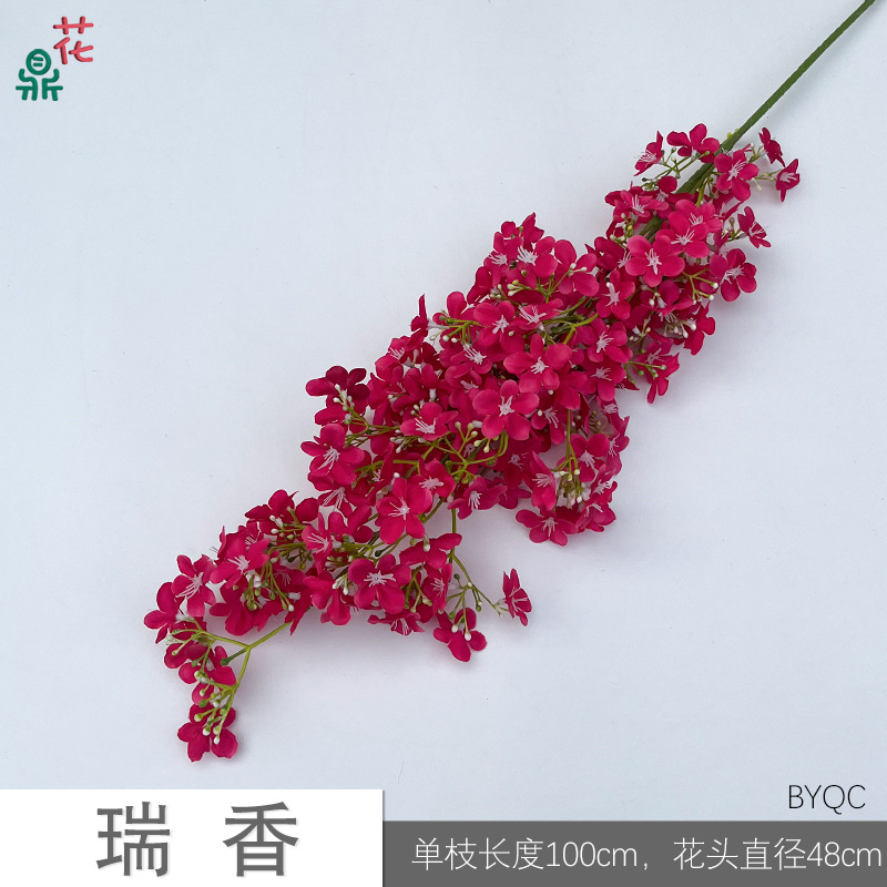 리샹 BYQC 로즈 레드