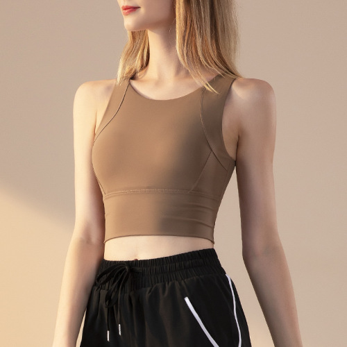 Cross-border fitness high-intensity shock-proof sports bra, breast-shrinking vest-style quick-drying breathable push-up yoga bra new