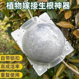 �߉��м޽Ӻи߉�������ֳ��Ǥ��߉���ֲ��߉���ֳ���¼�������