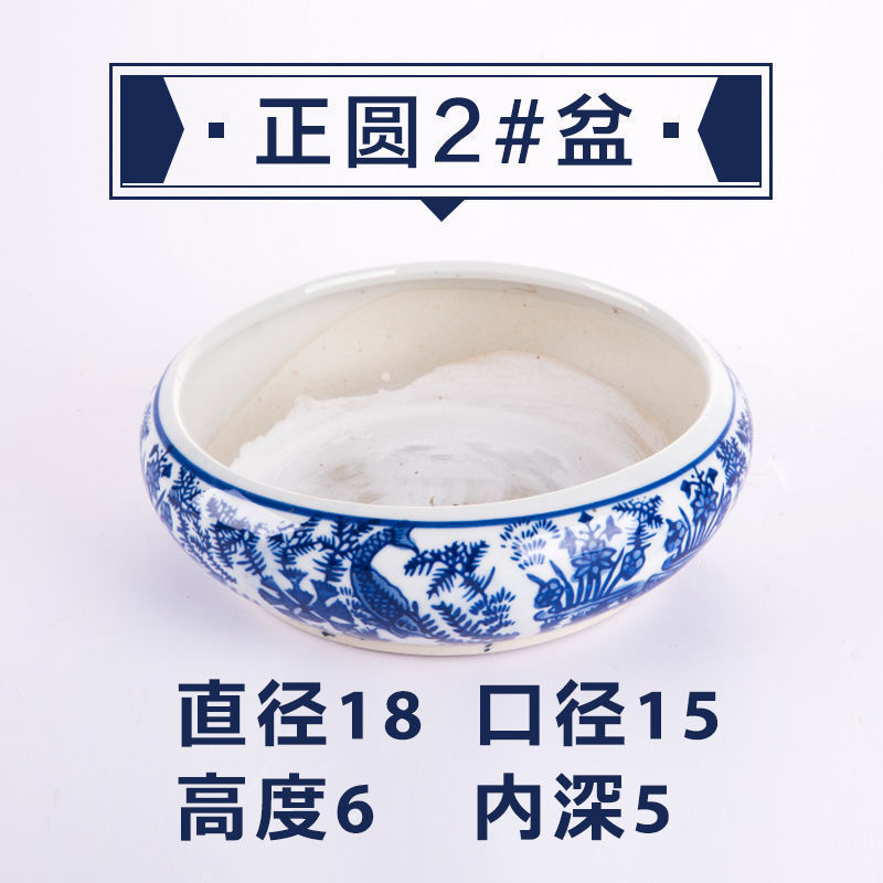 吸水石盆底座上水假山盆景微景观水仙铜钱草陶瓷水培无孔花盆|undefined