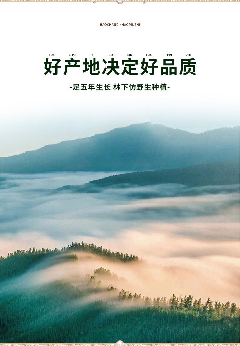 Premium Huoshan Dendrobium Fengdou Dried Herbal 500g Jar for Soup and Wellness quality and texture