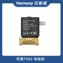 汉明威熨霸厂家直销T98S蒸汽发生器锅炉电熨斗配件电磁阀