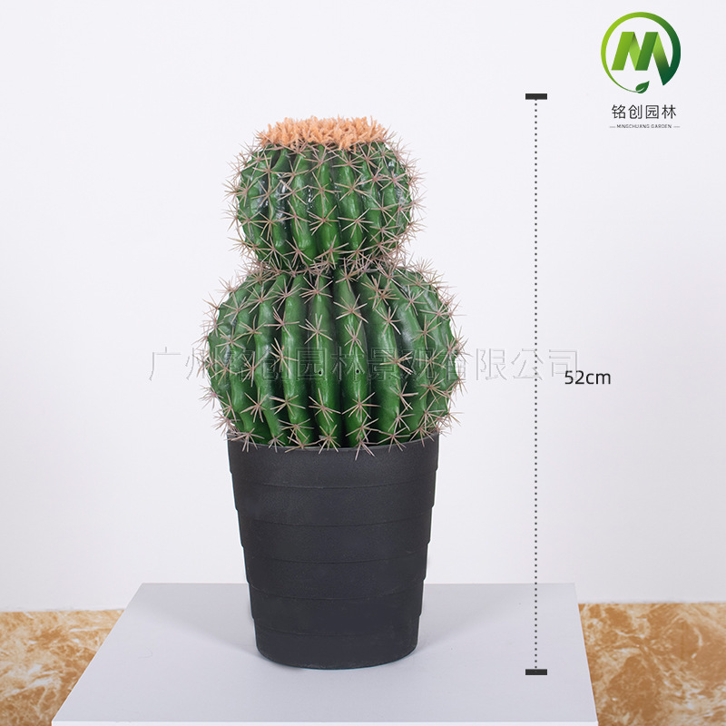 Decoración de paisajismo de plantas falsas en el desierto tropical image 33