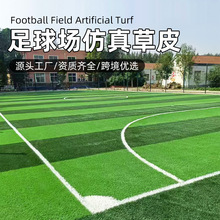 ƺٲƤƺS˹ƤGƺ|ƺ̺