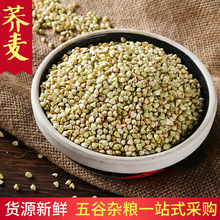 ���x�w���׾Gɫ�����I�B�w���� �w���ּZ ������ ����s�Z�w��