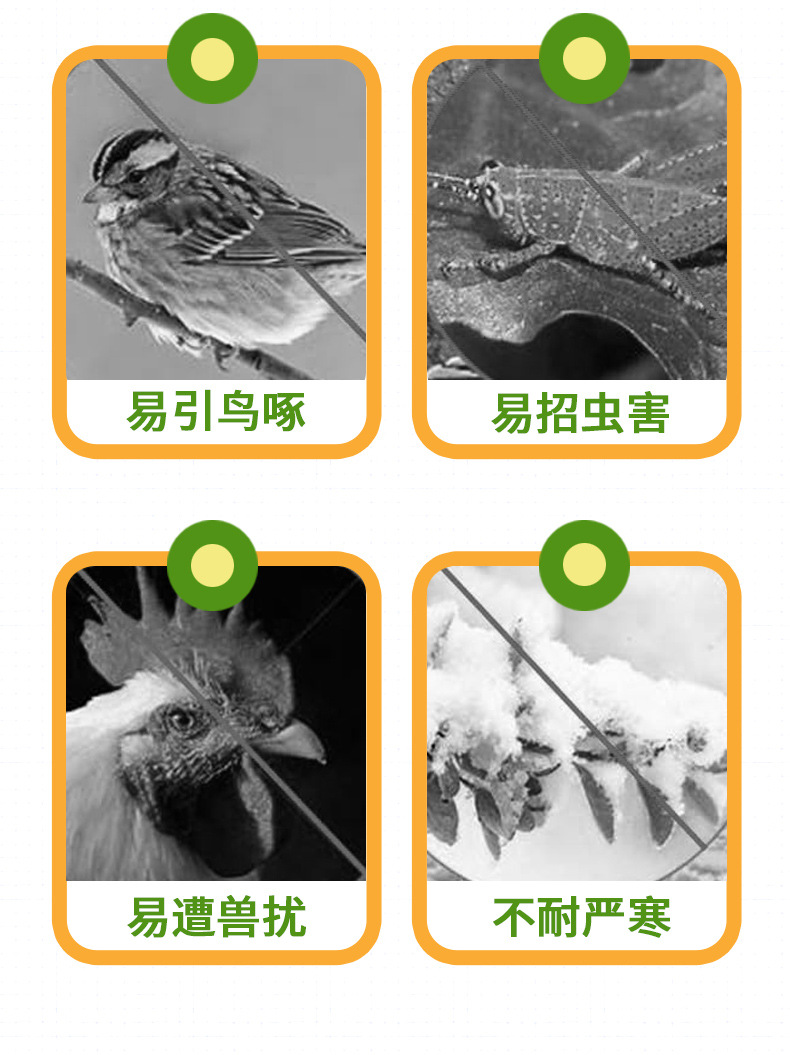 O1CN01H9KIoM26TFkDr8qTF_!!977927662-0-cib.jpg?__r__=1757065624229