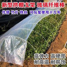 搭棚支架玻璃纤维杆农用蔬菜拱杆拱棚花架纤维棒批发