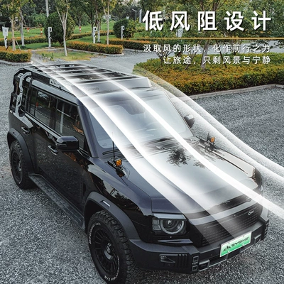 Roof rack – Expansion Platform Ladder Mecha
