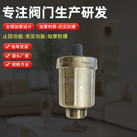 安全阀;其他阀门;排气阀