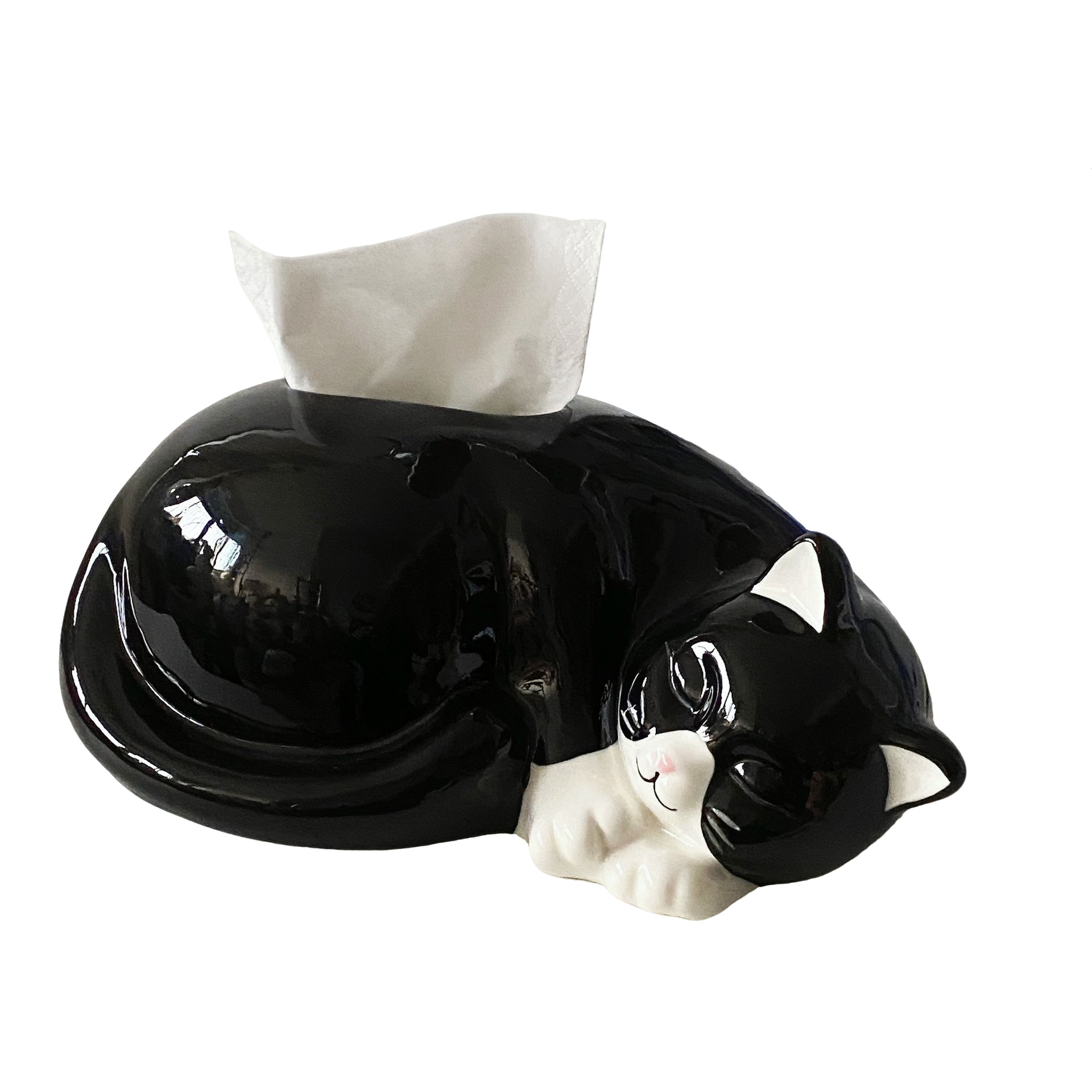 猫のティッシュの箱の陶磁器は紙の箱の玄関を引き出して家に入ります。