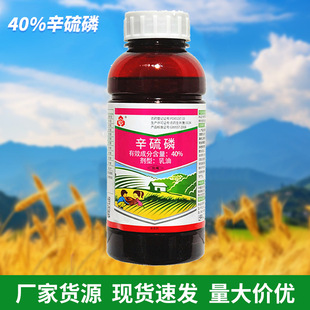 40%���������͹��仨���߲����xʳ���x���x������������x��300ML