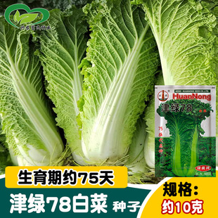 �h�r��G78�ײ˷N�� ֱͲ�����~�w�S�ٴ�ײ˷N�� �ˈ@�r���߲�