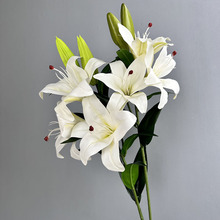 滨3^ָаٺϻٻcҾbֲԻ