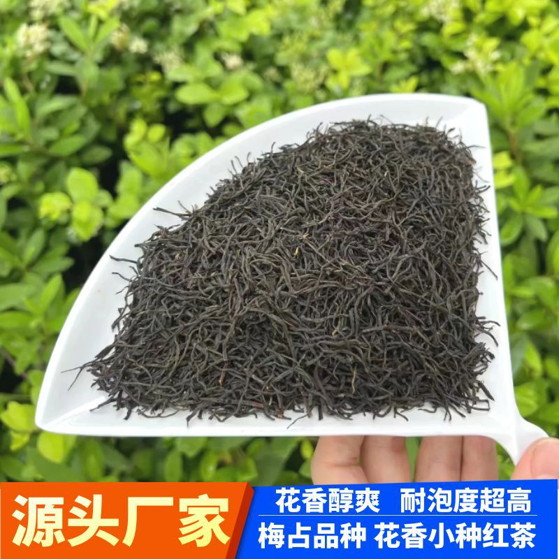 小种红茶花香小种福建红茶明前浓香型茶叶散茶高山红试喝厂家直销