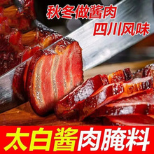 四川太白酱肉腌料酱肉腊肉家用自制酱肉腊肉腌肉专用料川味烟熏肉