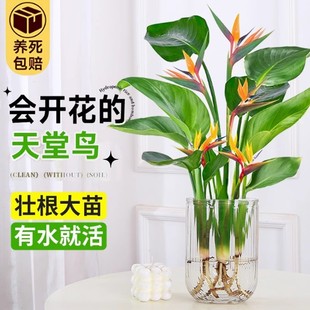 ˮ�������B�������汱�W�^�~�ļ�����ֲ���҃ȴ��~ˮ�B��ꎿ͏d