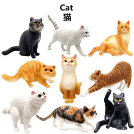 跨境仿真实心PVC动物模型沙盘蛋糕摆件波斯猫儿童启蒙认知教玩具