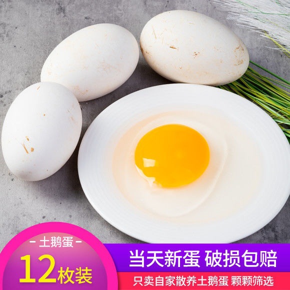 Edan fresh Weishan Farm Backyard be damaged Guarantee to pay compensations pregnant woman factory wholesale