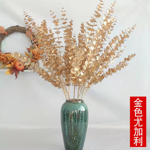 �����ȼ������l�N��5��84cm��ɫ�ȼ����Ҿ��b�ɫ���~��c����