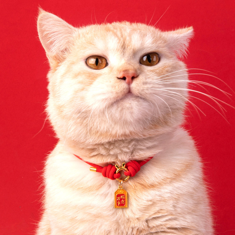 Collar para mascotas Año nuevo Luck Star Collar para gatos Gaozhao Collar para perros pequeños sin decoloración Collar para perros ajustable al por mayor