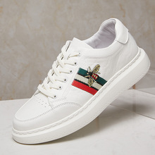 �p���Ͼ���ʿ���e��Ь2026���¿���r��늽����m��ƤЬ�S�����l