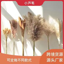 �羳�羳�ɻ����l�͏dԭɫ���W�Lins�JȔС��ˇ��Ȕ�滨��Ȕ�Ĕz
