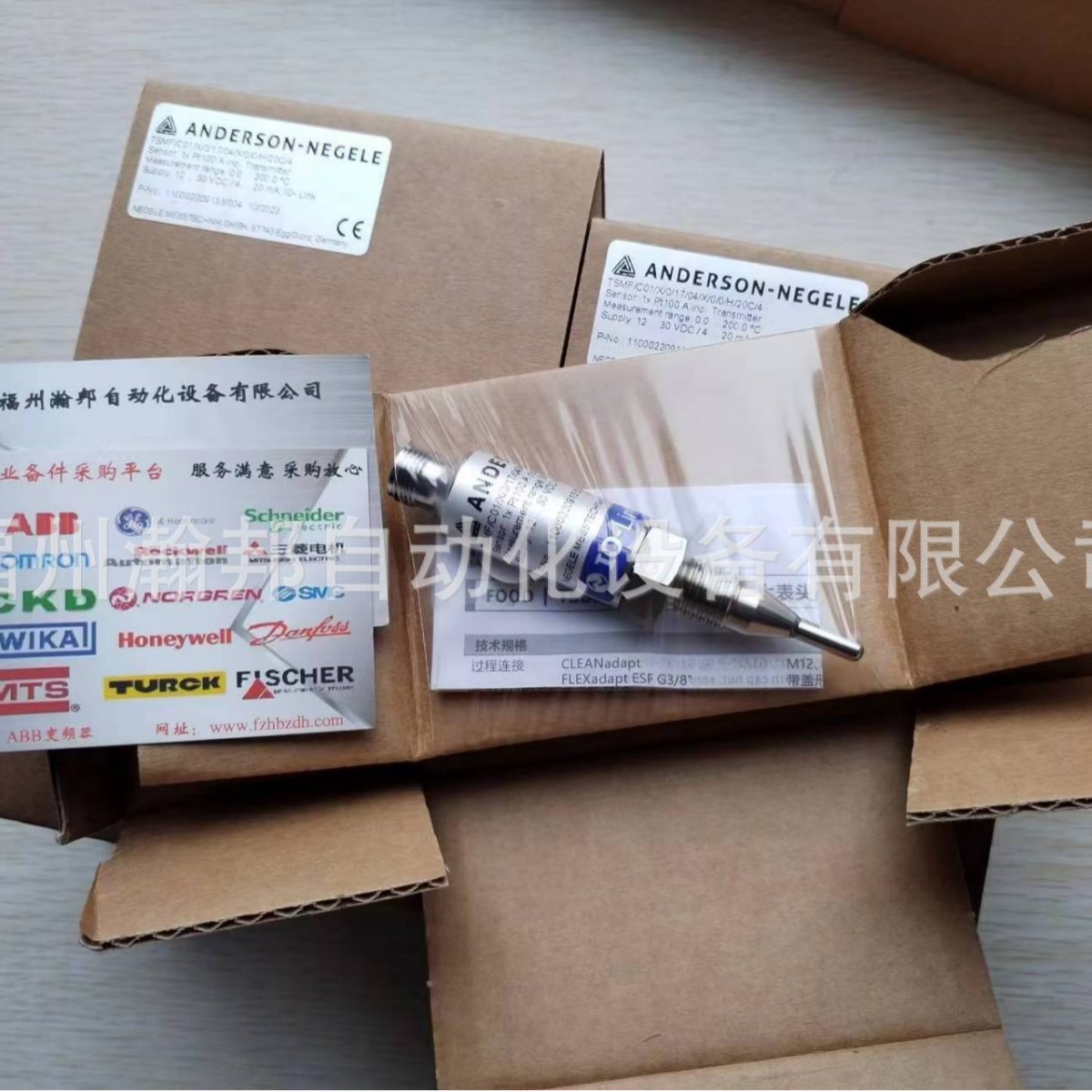 ANDERSON-NEGELE 安德森耐格温度传感器 TTFQ-G12-050/6