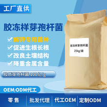 �z�����z�|ѿ�ߗU�����׽��΢������ʸ����������������}���N