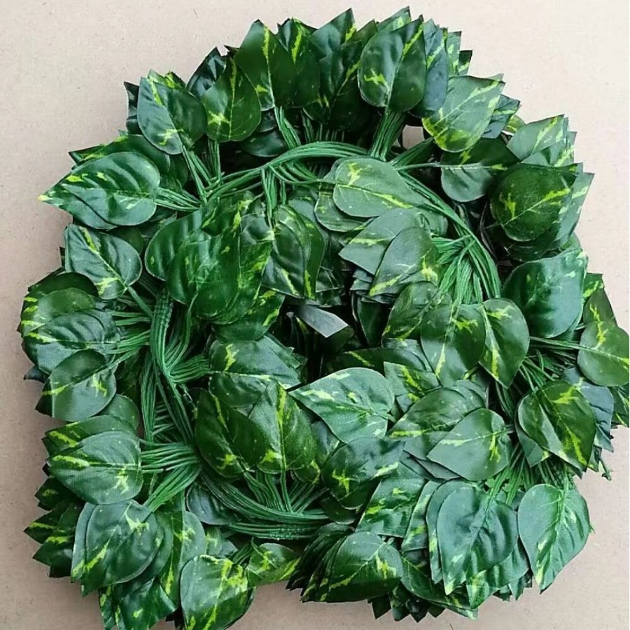 녹색 딜 스트립 80 조각 (12 스트립)