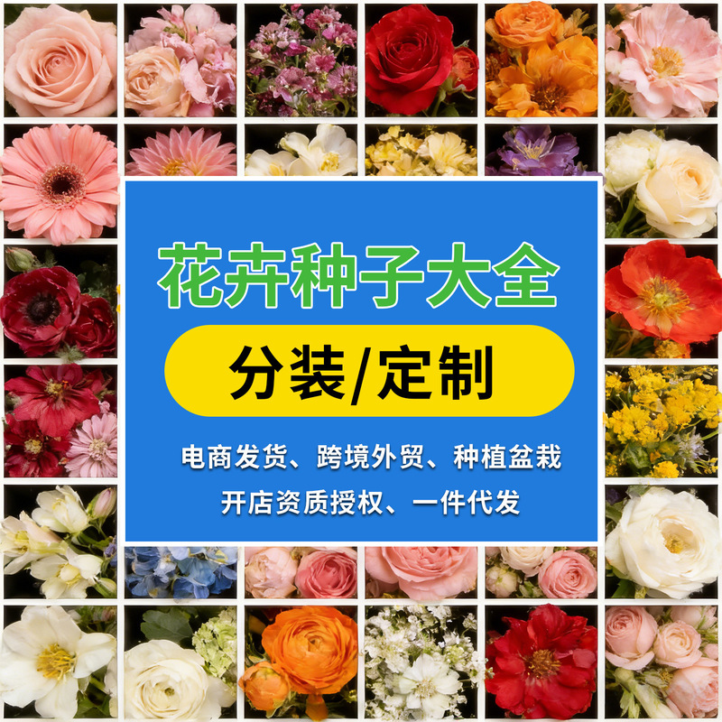 【E-Commerce Dropshipping】Sunflower Seeds, Wildflower Mix, Bowl Lotus Seeds, Lisianthus Seeds, E-Commerce Group Purchase Flower Seed Supply 【E-Commerce Dropshipping】Sunflower Seeds, Wildflower Mix, Bowl Lotus Seeds, Lisianthus Seeds, E-Commerce Group Purchase Flower Seed Supply
