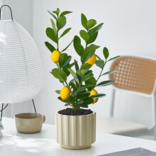 ���ֲ̨���ˮ���ʘ����������ļ������ʳ��ˮ�������~������