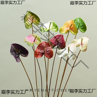 PUEVA�t�������ָб��񻨎��廨��ĘӰ��g�Ƶ�