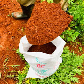 清香木专用土云南高原红土河沙陶粒椰砖养龟风化土酸性透气土壤