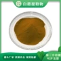 水溶奶子白薇提取物
