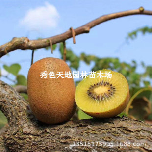 �J���Ҙ����S���殐���S����J�������Ϸ������Nֲ��Ʒ�N�������