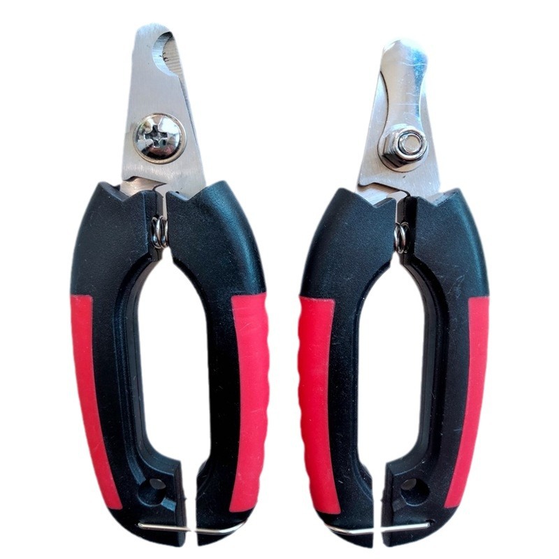 2024-03-11 19:44:16.jpg