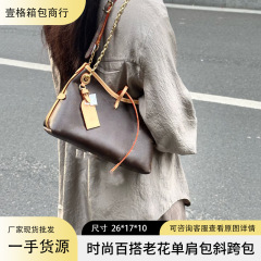 2025款carryallbb老花单肩斜挎手提百搭时尚钢五金驴家包包芯片款