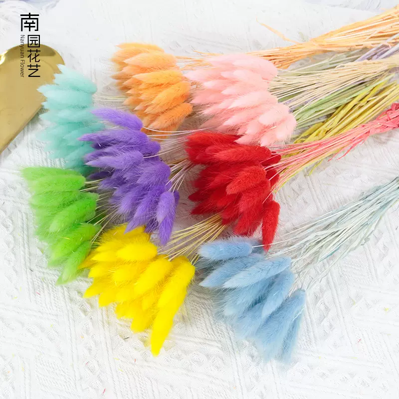 干花花束兔尾草永生花材料批發情人节礼物高级感DIY装饰客厅摆件