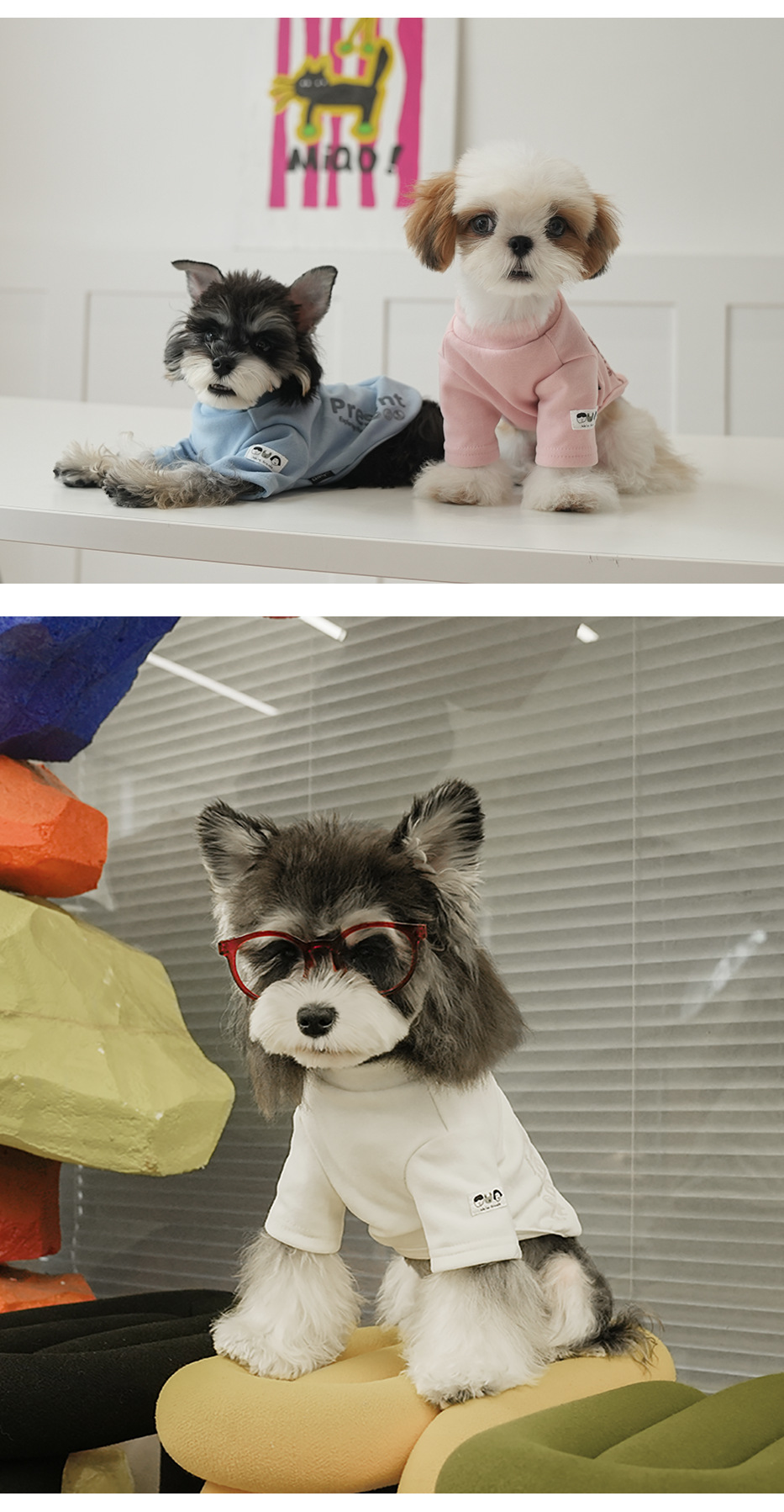 Moisture-proof shipping packaging for pet clothing delivery