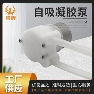 310΢����ӱ�6V12Vֱ���͸��gˮ�� ϴ��Һ�����|�������z��