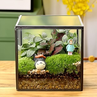 ΢�����ָ����ⲣ�������B΢���^�����������Ͷ���ֲ���辰����