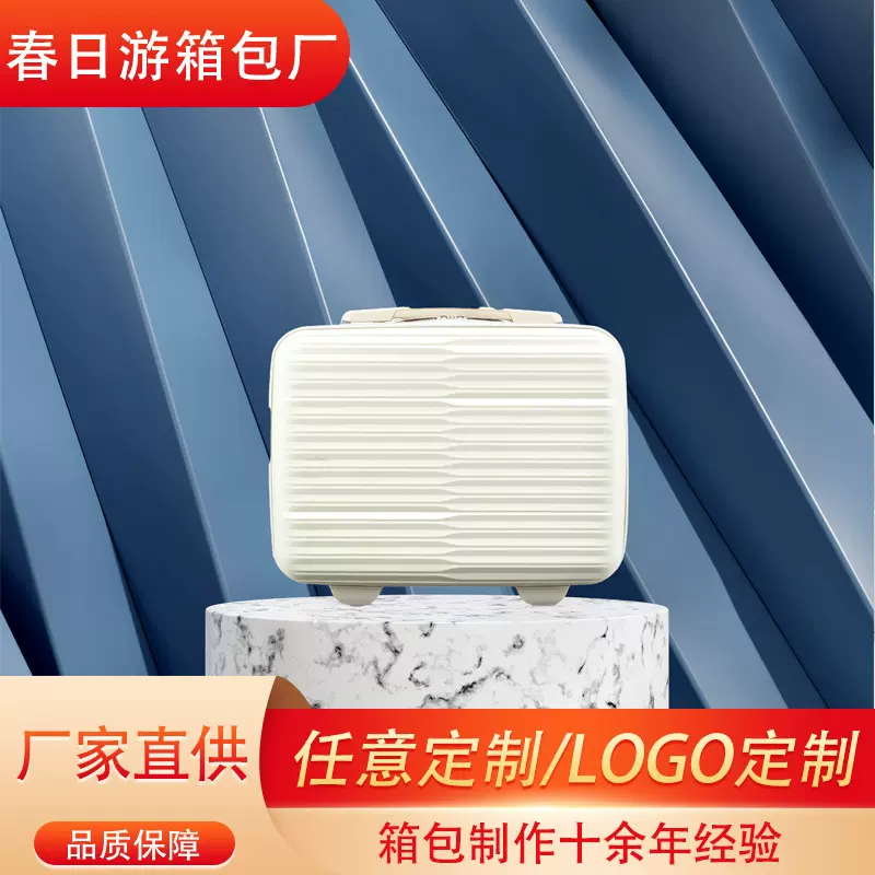 PP14寸迷你化妆箱手提箱韩版旅行箱收纳洗漱包旅行小行李箱包批发